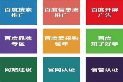 百度竞价投放技巧：行业领先企业的成功策略案例